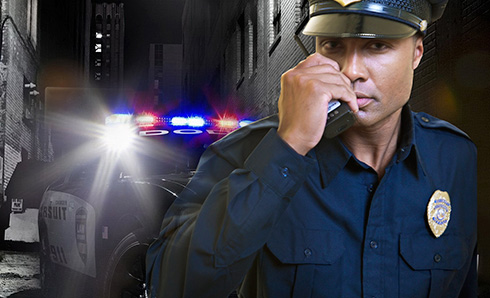 Career Information » Criminal Justice